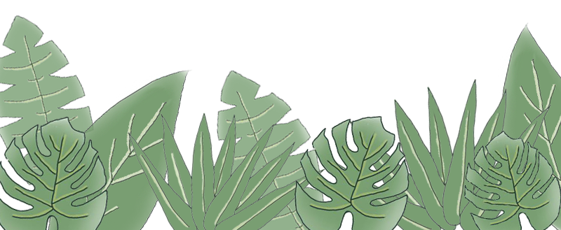 Weekly Study of Traditional Chinese Medicine: Huang Lian (Coptis)