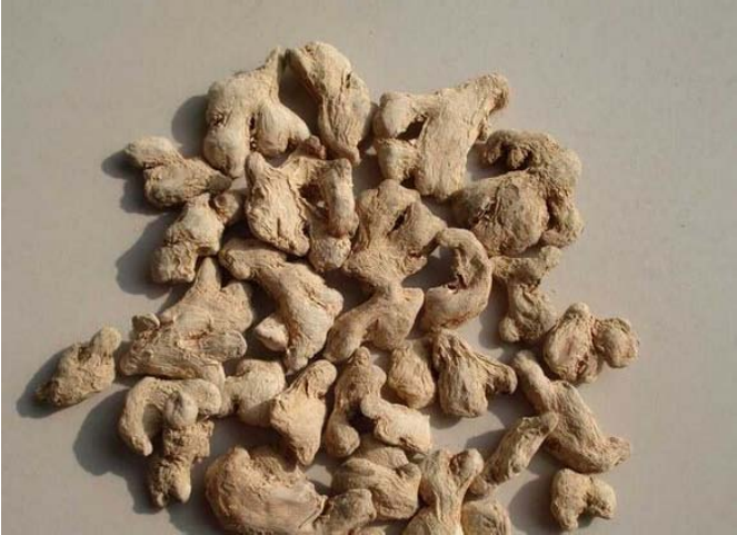 Dried Ginger (Gan Jiang) - A Comprehensive Overview