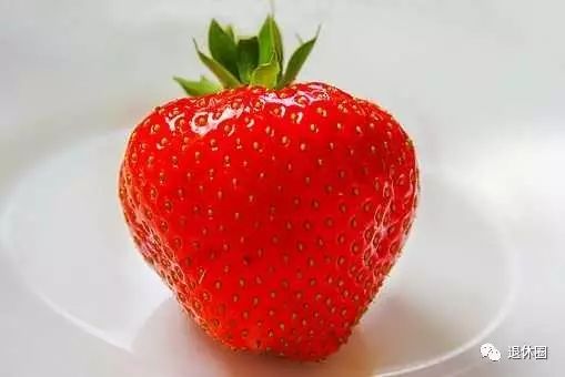 30 Dietary Therapy Recipes