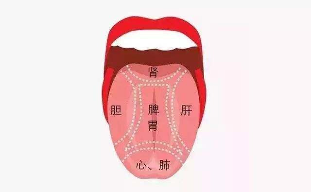 Comprehensive Tongue Diagnosis Guide