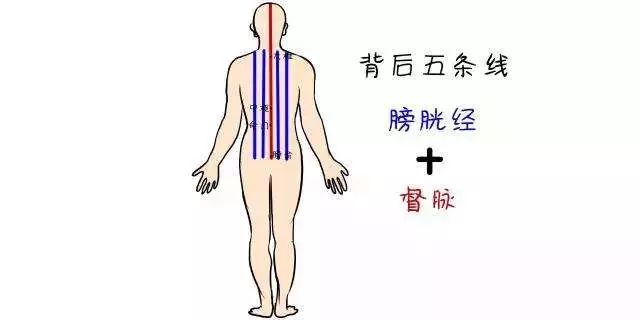 Massage These 4 Areas to Achieve Yin-Yang Balance and Smooth Qi and Blood Flow!