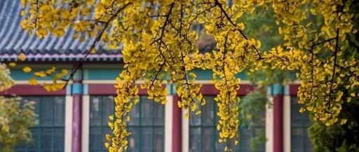 A Traditional Chinese Medicine Formula for Nourishing the Liver and Kidneys, Treating Blood Deficiency and Stasis