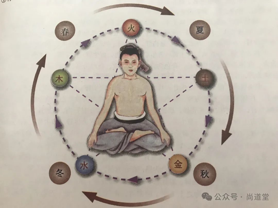 The Harmony of Yin and Yang in the Human Body and the Path of Cultivation