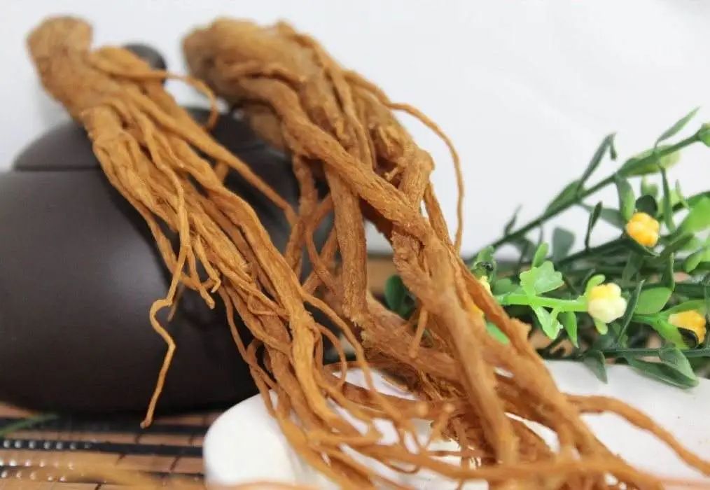 Angelica Sinensis: The 'King of Herbs' and the 'Top Blood Nourishing Herb'!