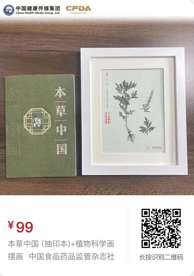 Differences Between Traditional Chinese Medicine Pills, Concentrated Pills, and Decoctions: Which is Better?