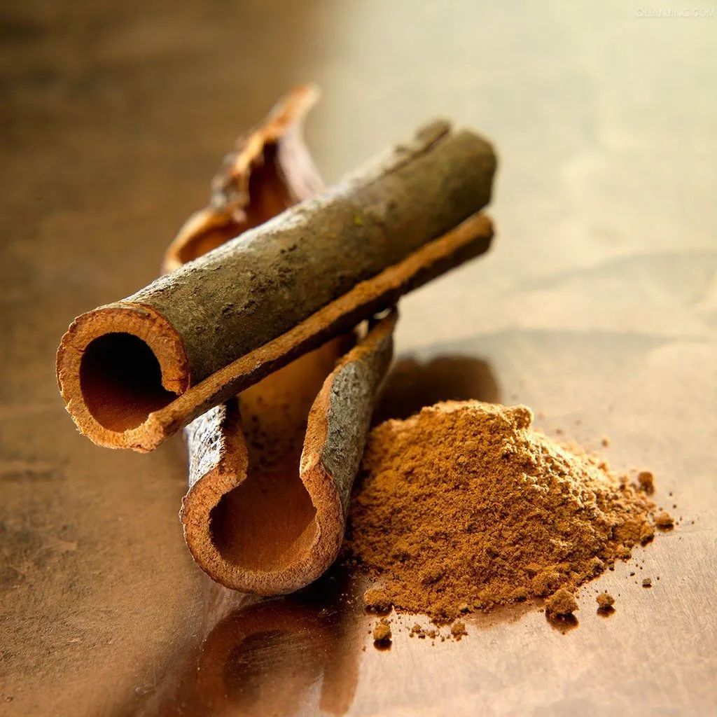 Understanding Medicinal Herbs: Cinnamon (Rou Gui)