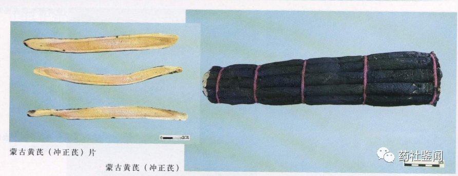 Traditional Chinese Medicine - Huangqi (Astragalus Root)