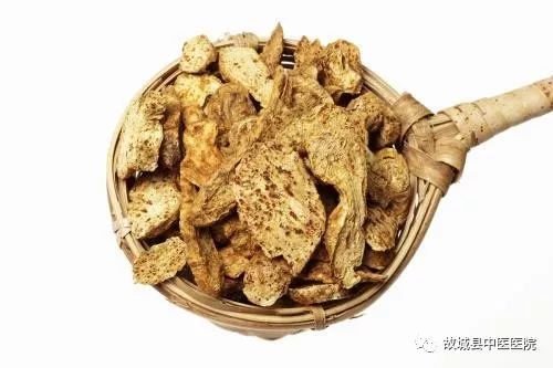 Traditional Chinese Medicine Herb: Cang Zhu (Atractylodes Rhizoma)