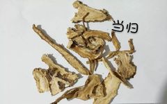 Angelica Sinensis (Dong Quai) - A Comprehensive Overview