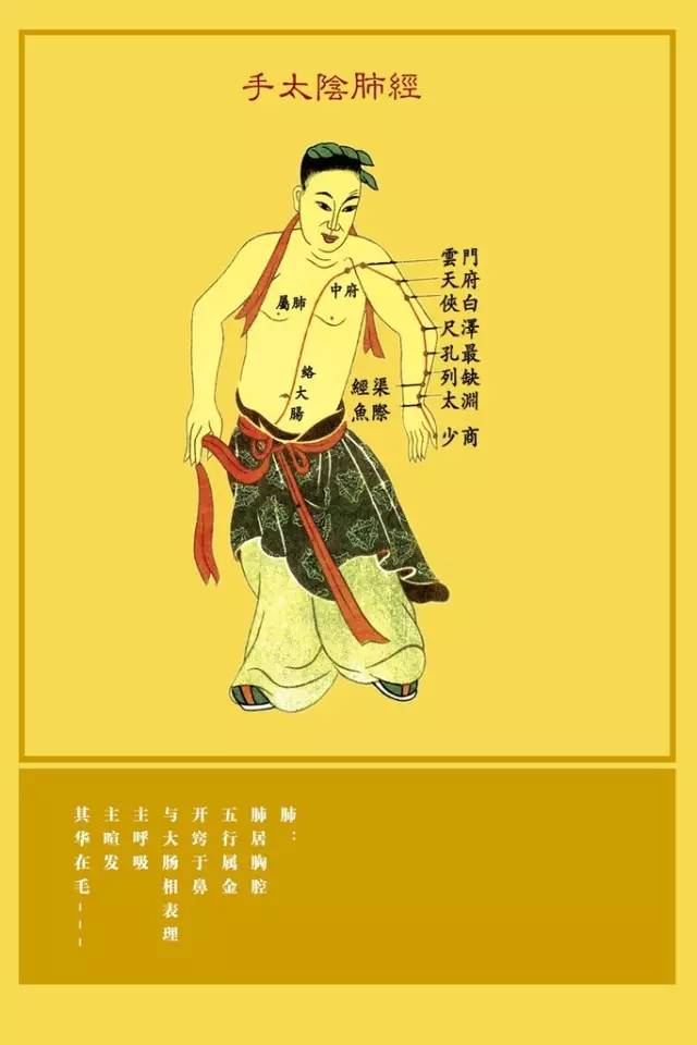 Understanding the Eight Extraordinary Meridians in Traditional Chinese Medicine
