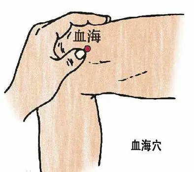 47 Unique Acupuncture Points Worth Seeing! (Collector's Edition)