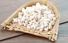 Traditional Chinese Medicine Herb: Fu Ling (Poria)