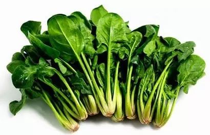 Food is the Best Medicine! A Comprehensive Guide to Dietary Therapy by Central Health Experts!