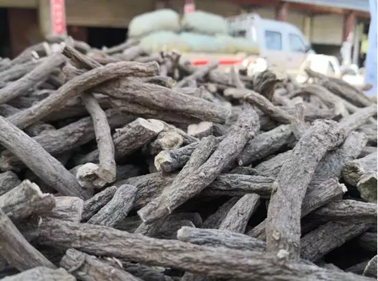 Bai Shao: Should We Continue to 'Respect the Ancients' or Moderately 'Follow the Present'?
