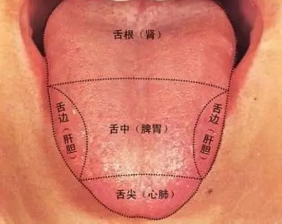 How to Observe Tongue Coating to Reflect Your Health