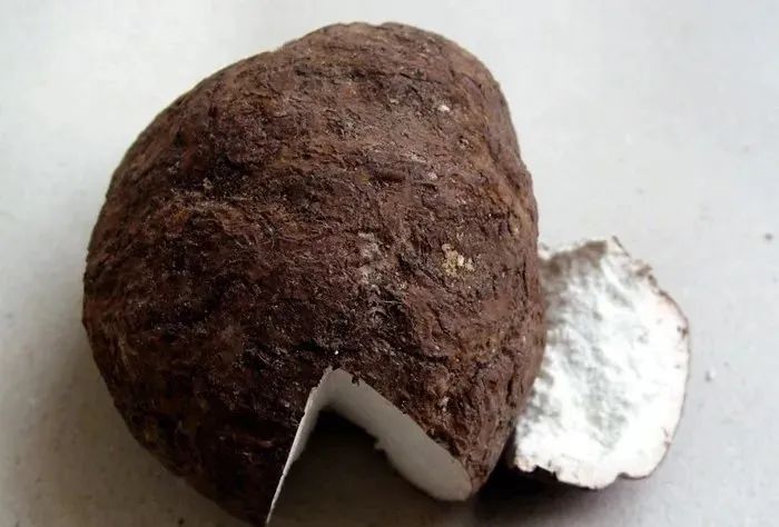 Traditional Chinese Medicine: Fu Ling (Poria)