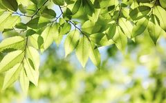 Health and Nutrition | How to Determine Your Yin Deficiency Constitution?