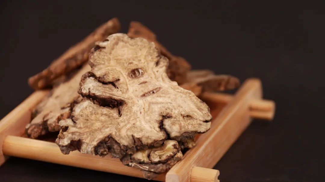 Angelica Sinensis: The Ginseng for Women