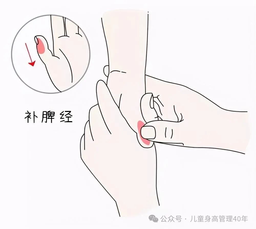 Boosting Qi and Blood in Children: A Simple Recipe with Longan and One Other Ingredient!