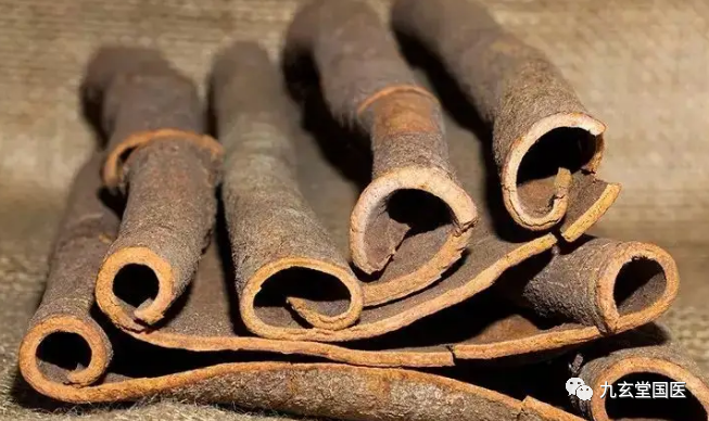 Compilation of Chinese Medicinal Herbs 71: Cinnamon