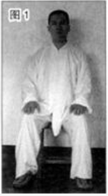 Mastering Internal Skills: A Guide to Qi Gong Practice