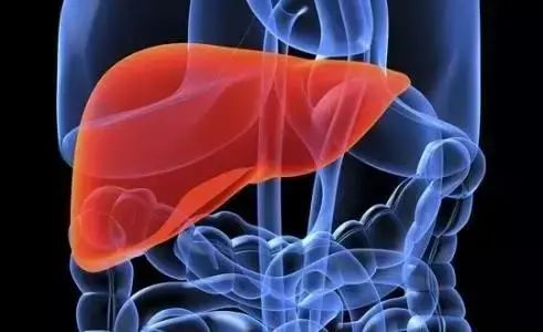 Comprehensive Guide to Holographic Diagnosis in Traditional Chinese Medicine