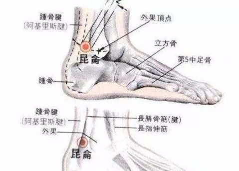 50 Common Acupuncture Points for Treating Various Ailments