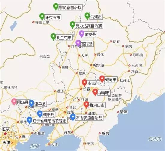 The Market Trends of Bei Cang Zhu (Atractylodes macrocephala) and Its Future Prospects