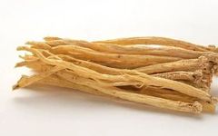 The Effects and Functions of Codonopsis (Dang Shen)