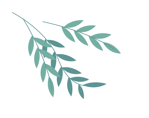 Weekly Herb: Codonopsis (Dang Shen)