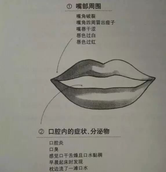 Essential Guide to TCM Observation Diagnosis: Easy to Understand (Recommended for Collection)