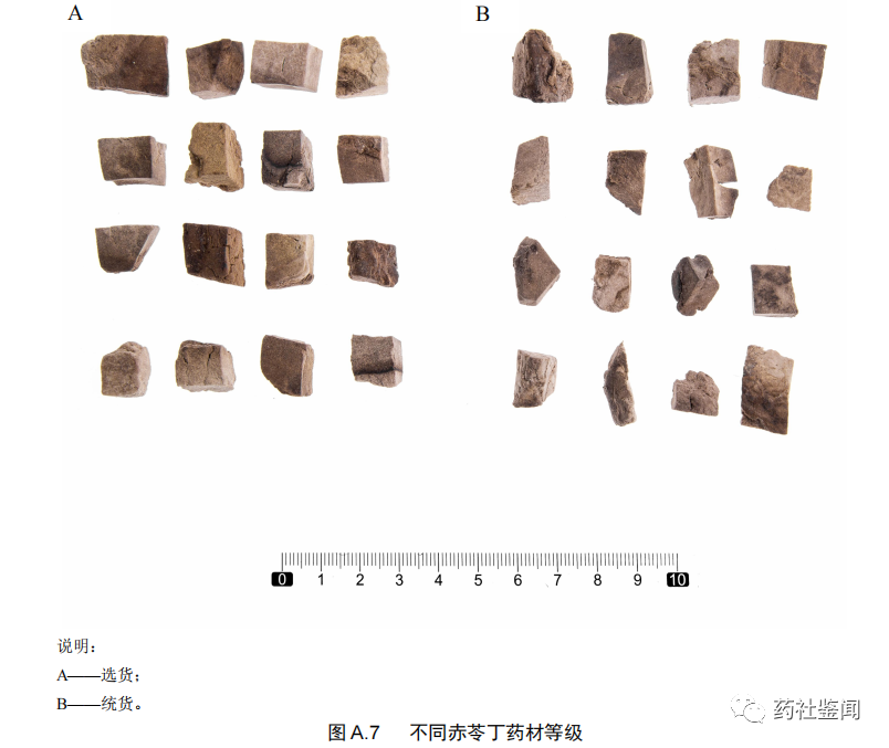 Poria (Fuling) - A Comprehensive Overview