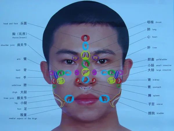 Comprehensive Guide to Holographic Diagnosis in Traditional Chinese Medicine