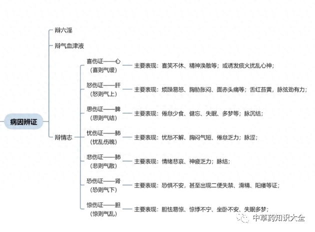 Understanding TCM Diagnosis: Eight Principles and Organ Differentiation to Enhance Your Diagnostic Skills!