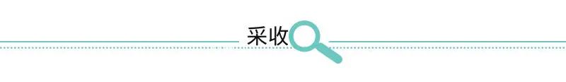 How to Cultivate Ginseng?