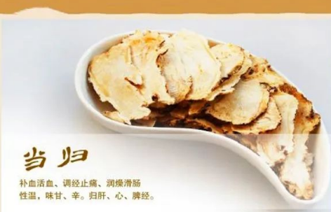 Daily Learning of a Chinese Herb: Angelica Sinensis