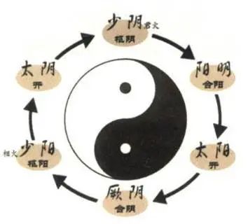 Eight Common Diagnostic Methods in Traditional Chinese Medicine
