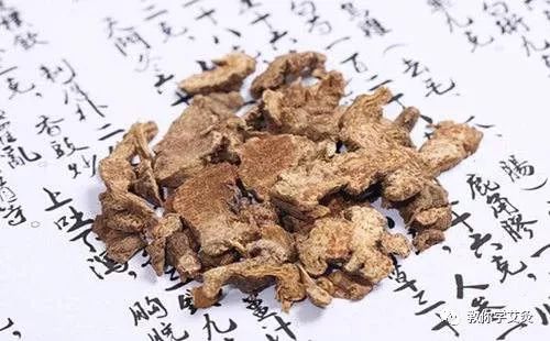 Luo Dalun: Cang Zhu (Atractylodes) Can Alleviate All Symptoms!