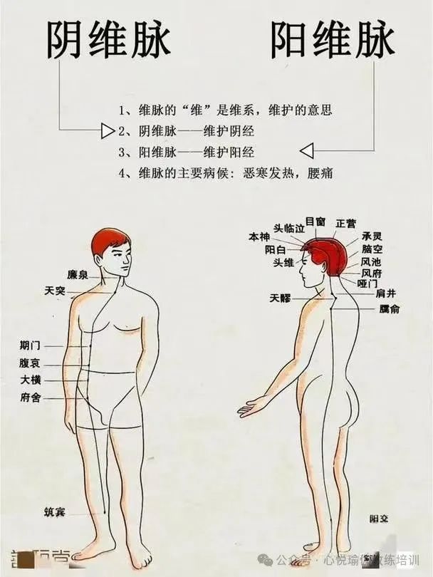 Exploring the Origins of the Eight Extraordinary Meridians: The Naming of Chong, Dai, Yin, and Yang Wei Meridians and Yin, Yang Qiao Meridians