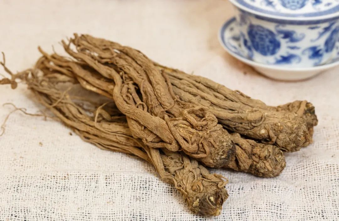 Understanding a Medicinal Herb - Angelica Sinensis