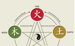 The Principles and Applications of the Five Elements Theory