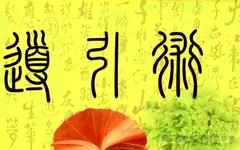 Understanding Daoyin: The Benefits of Traditional Chinese Medicine's Guiding Techniques