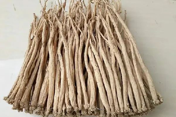 The Correct Method of Soaking Codonopsis (Dang Shen) and Its Five Major Contraindications