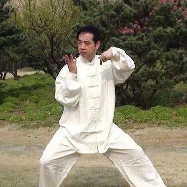 The Harmonious Integration of Yin and Yang in Tai Chi