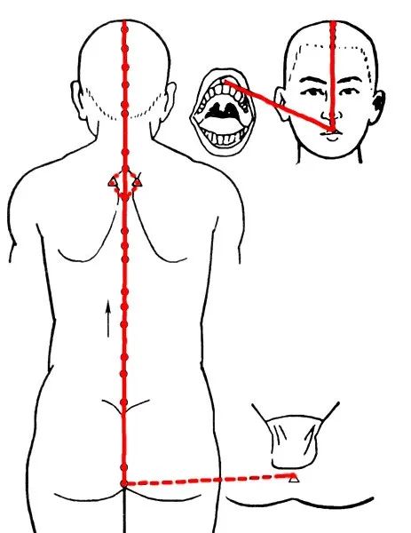 The Eight Extraordinary Meridians: A Major Remedy for Comprehensive Healing, Including Diagrams!