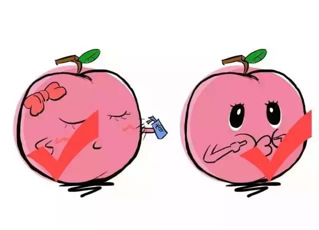 Fruits Classified by Cold and Heat: Eating According to Body Constitution