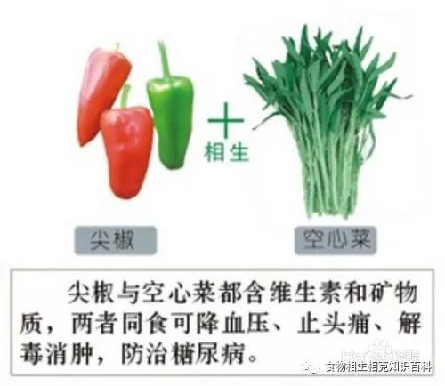 A Comprehensive Guide to Complementary and Contradictory Foods in TCM
