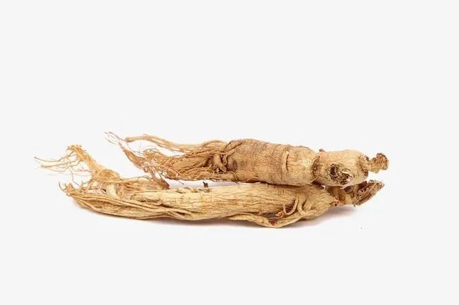 The Effects and Benefits of Ginseng and Its Best Consumption Methods