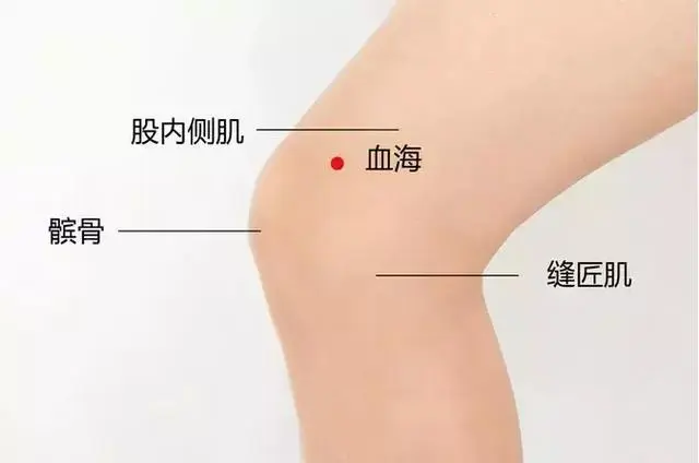 57 Practical Acupuncture Points Everyone Can Use