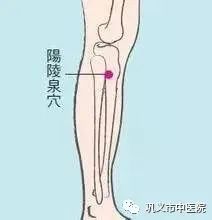 Moxibustion for Strengthening the Body and Enhancing Immunity